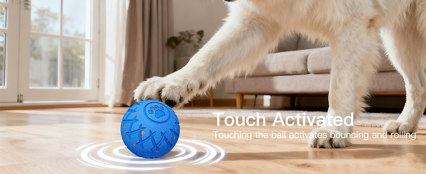 dog ball