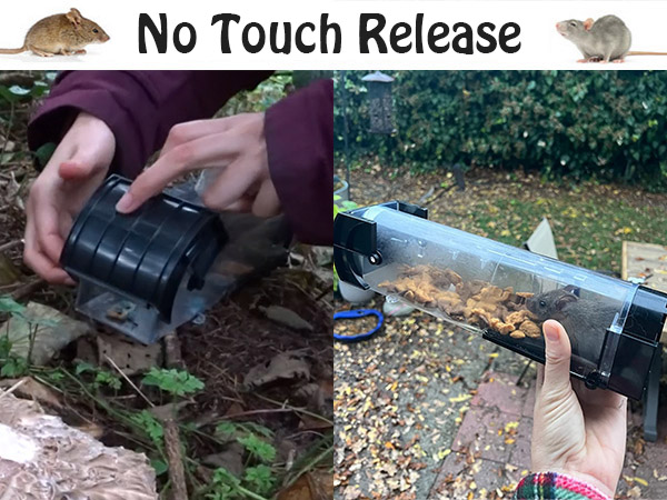 release