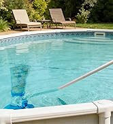 pool vacuum