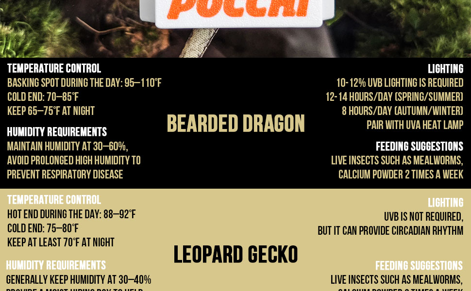 reptail thermometer