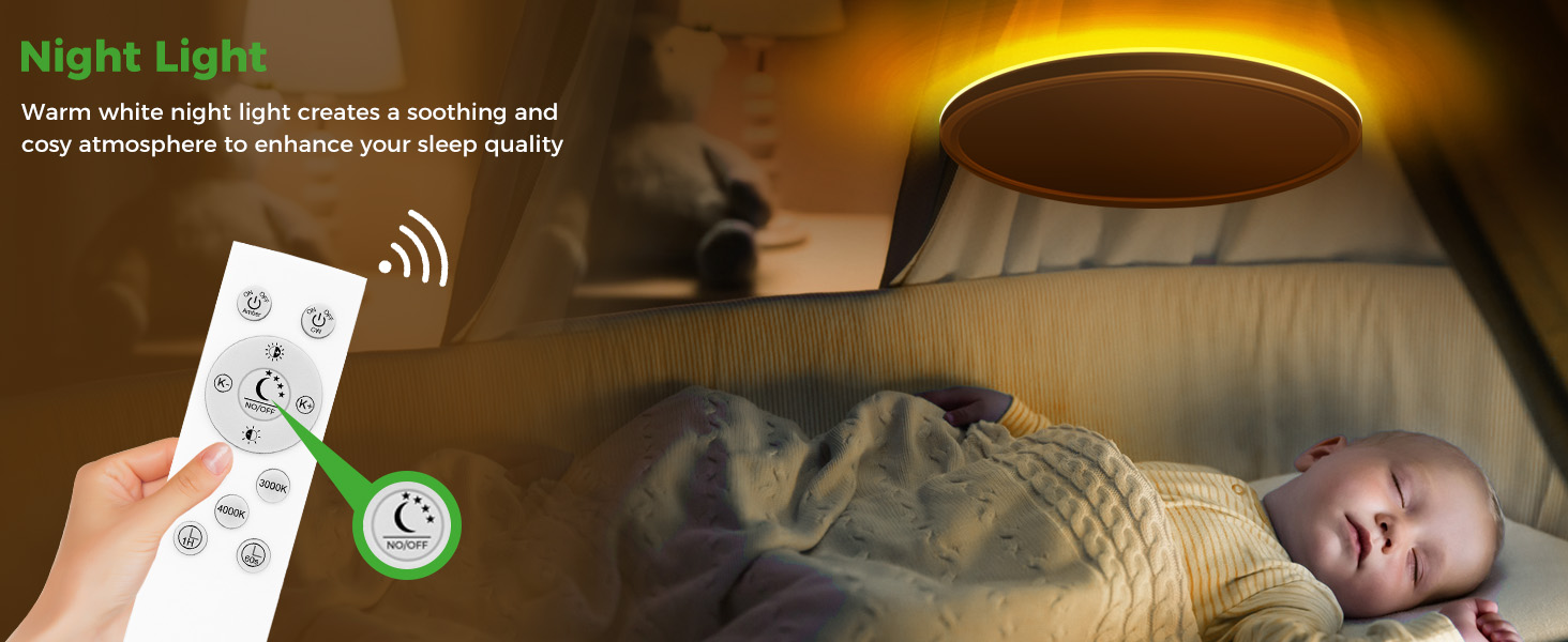 flush mount light fixture