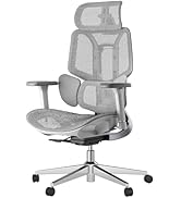 Hbada E3 Air Ergonomic Office Chair, Big and Tall Office Chair - with 3-Zone Dynamic Lumbar Suppo...