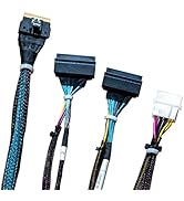 DiliVing SlimSAS 8X to 2*U.2 NVMe Adapter,SFF-8654 74pin to 2*SFF-8639 68pin Cable with Power, 75...