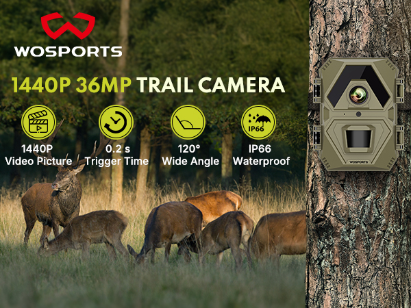 trail camera trail cameras with night vision motion activated waterproof game camera trail cam
