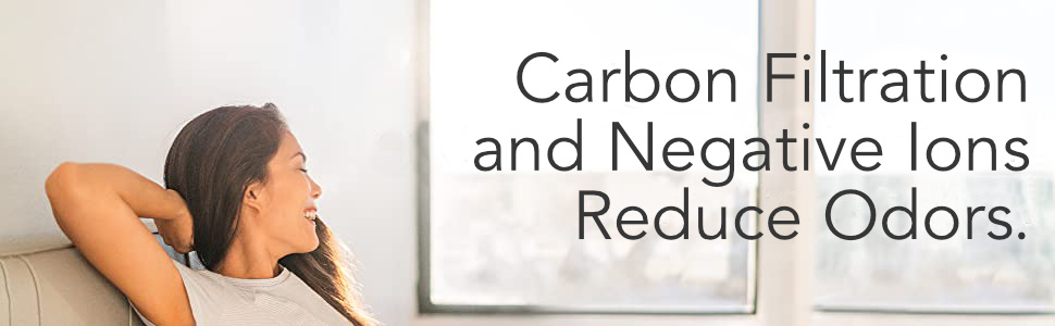 Carbon Filtration and Negative Ions Reduce Odors