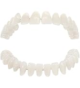 Mobestech 1 Set Model Dental Training Models Fake Teeth Model Dental Study Models Human Teeth Mod...