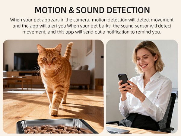 automatic cat feeder