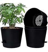 YNNICO 12 Inches Indoor Self Watering Planters with Drainage Holes and Saucers, 4 Pack (Black)