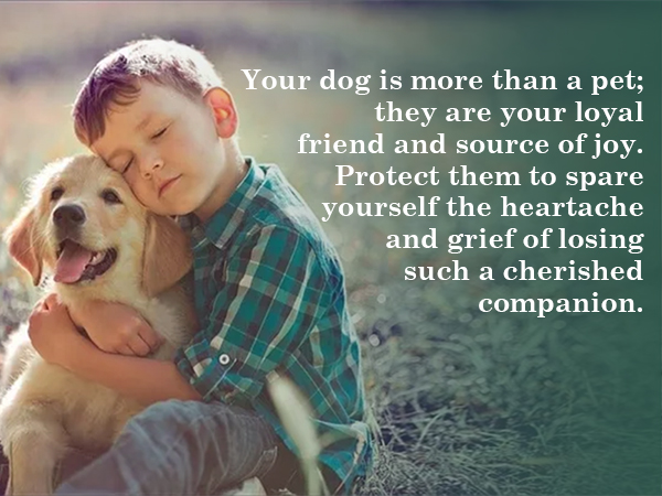 item finder with pet collar