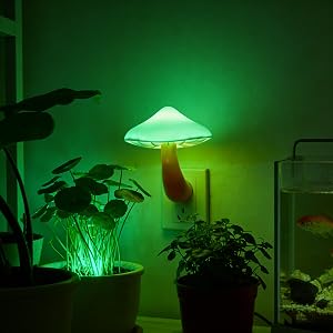 green night light indoor