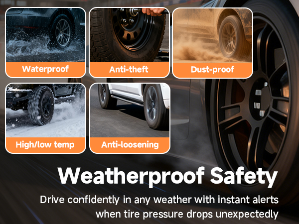 Tire Pressure Monitoring System