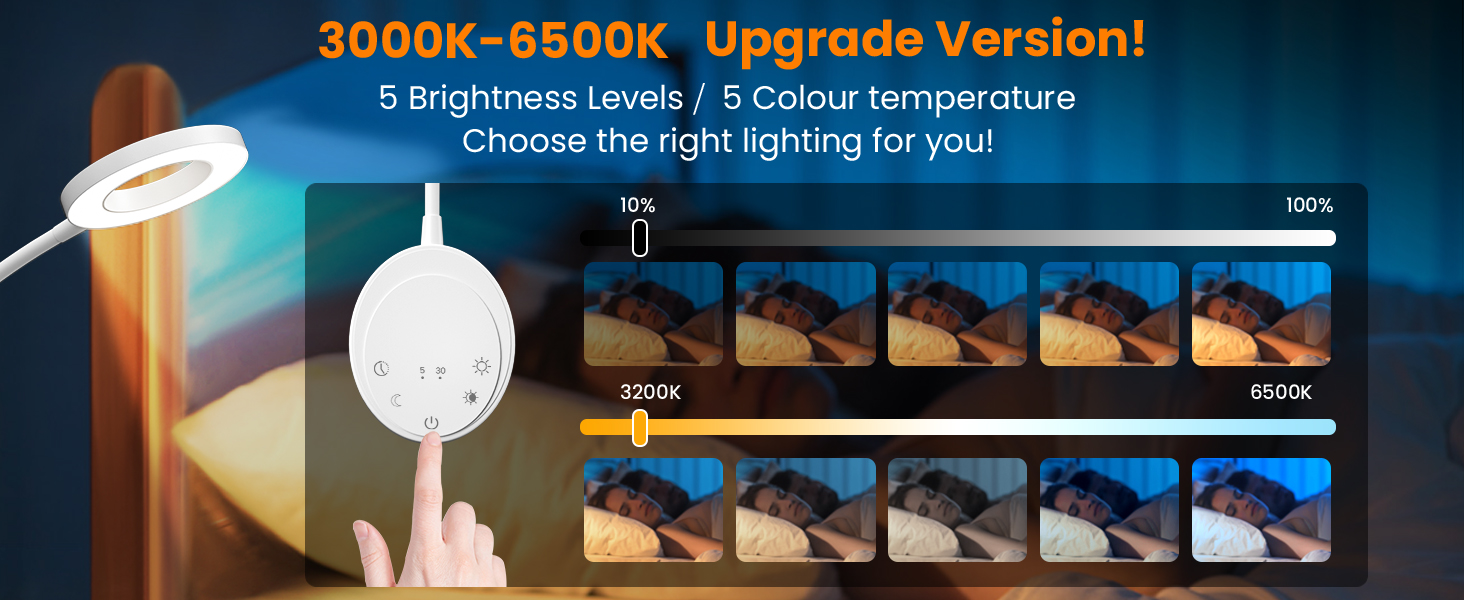 Wall Mounted Reading Light
