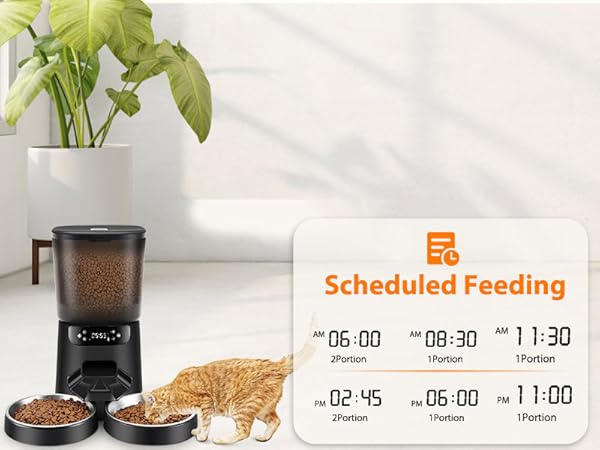 cat automatic feeders