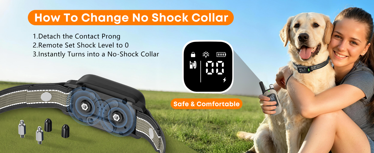 no barking collar for dogs