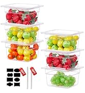 SVKLHY 1/6 Size 6 Inch Clear NSF Polycarbonate Food Pan-9 PCS[Food Grade][Hot&amp;Cold Resistant] Com...