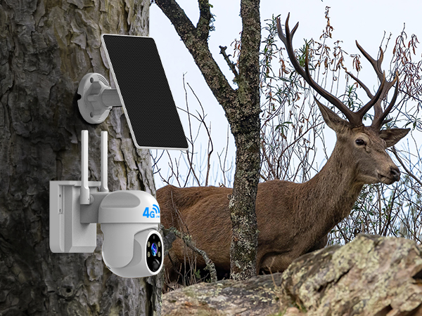 security camera no wifi needed