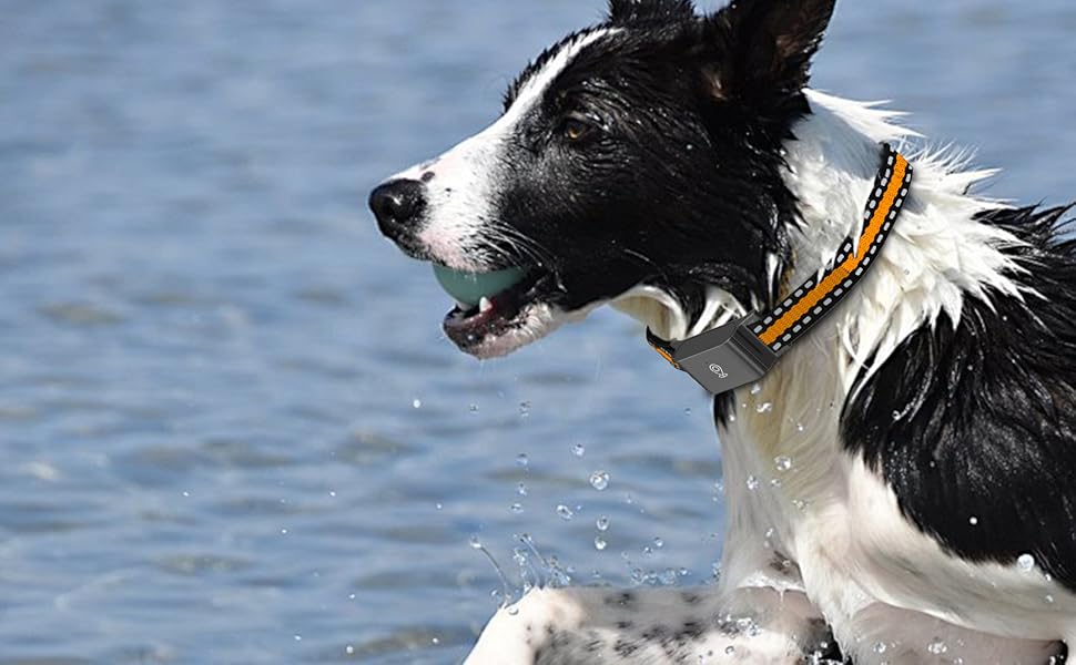 Dog GPS Tracker Real-Time Tracking Breakaway Collar