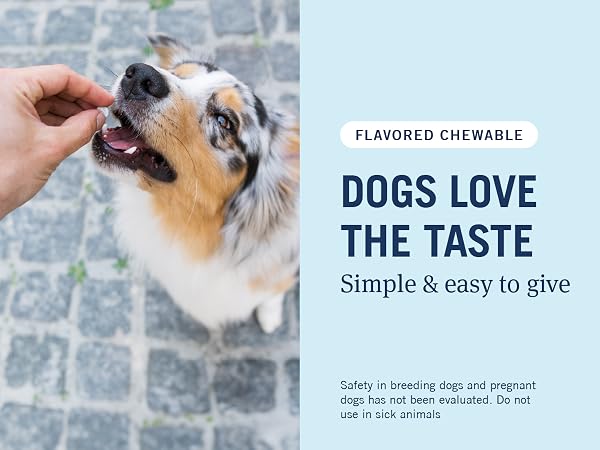 chewable tablet for dogs