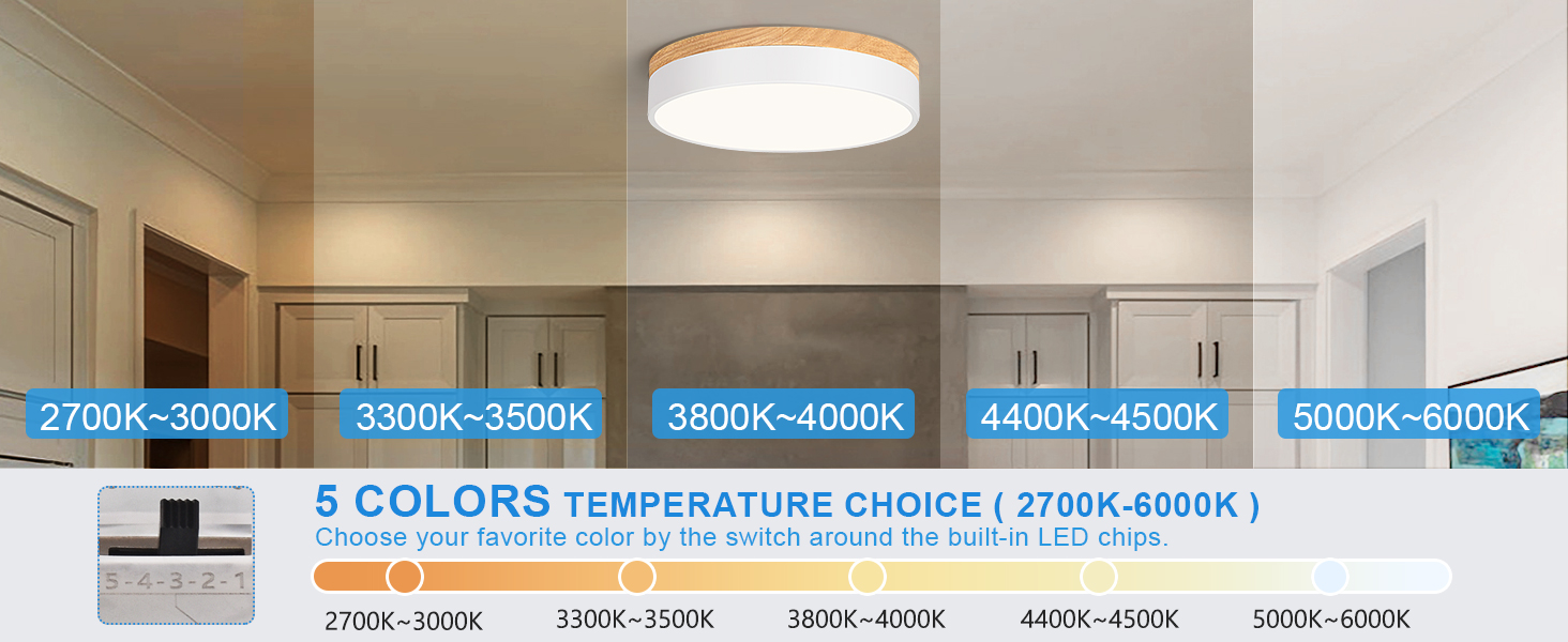 flush mount ceiling light