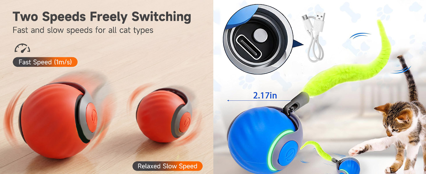 cat rolling ball toy