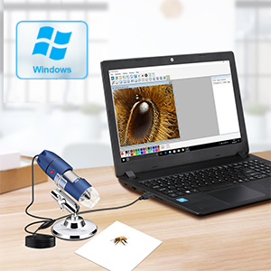 Windows PC Microscope
