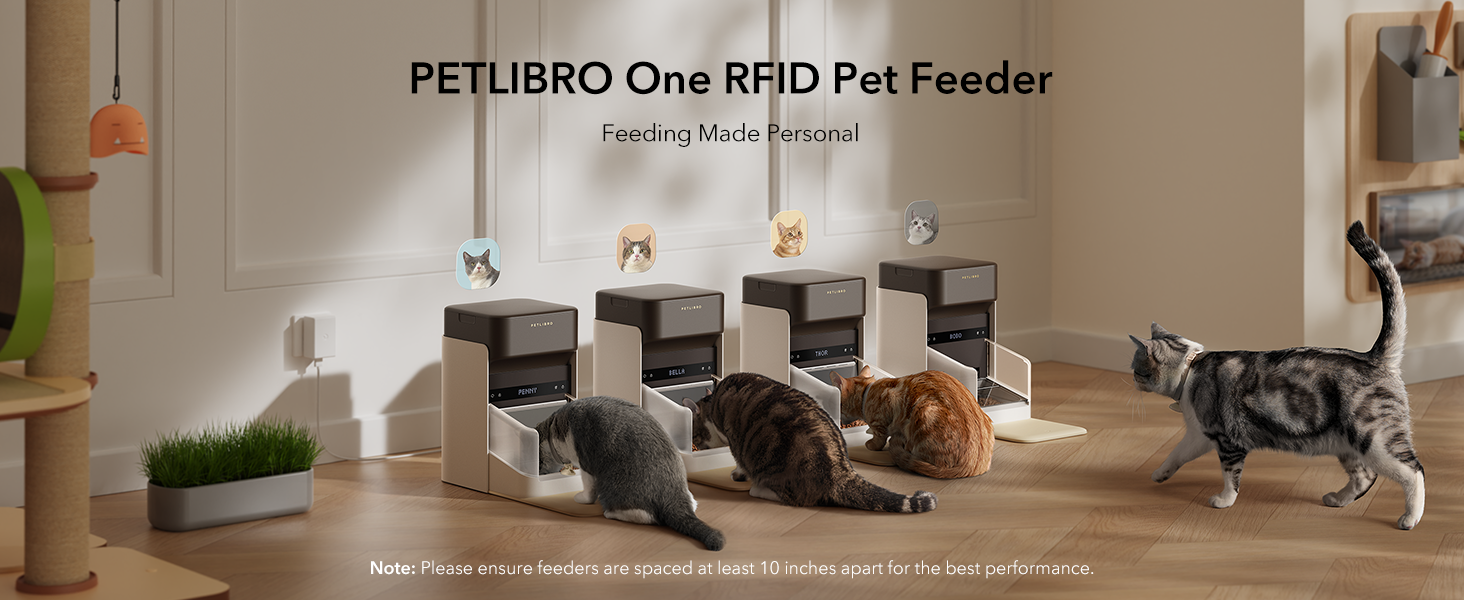RFID cat feeder