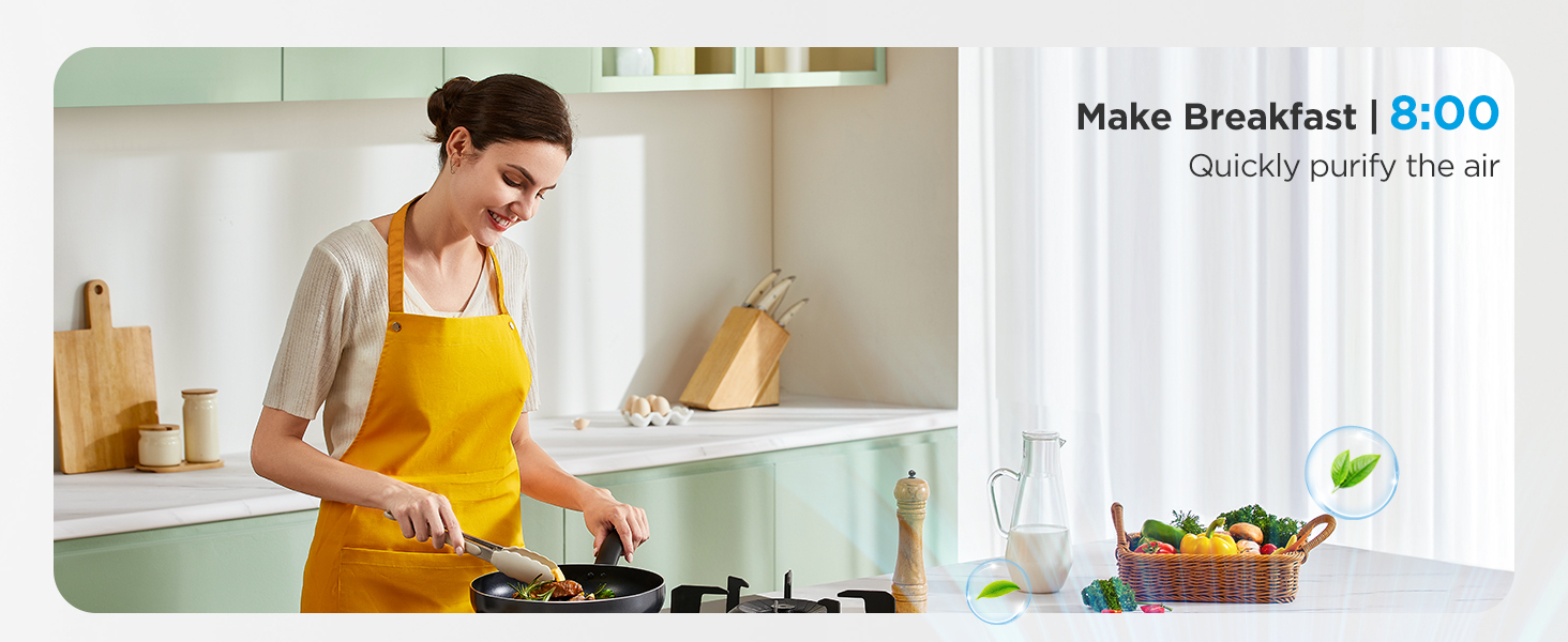 Quickly Purify the Air