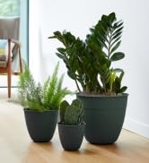 lifestyle photo of three dayton planters in turtle green in variety of sizes