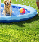 splash pad, dog pool