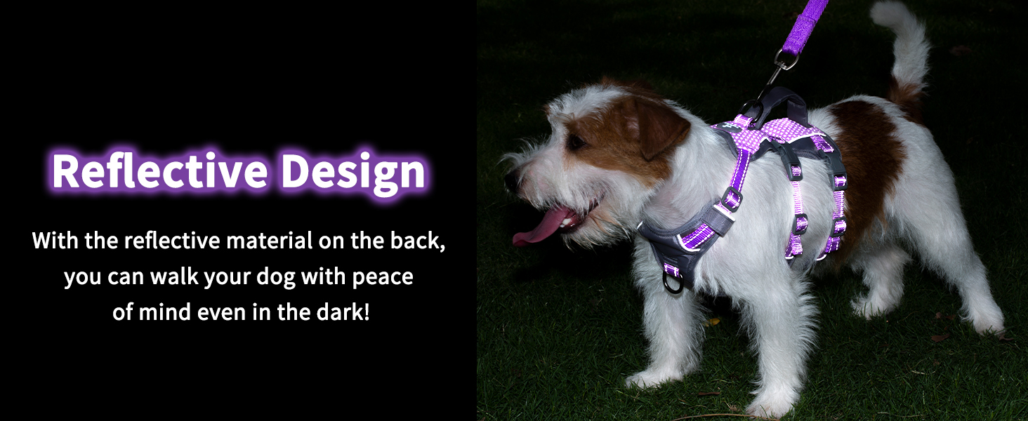 dog harness with handle