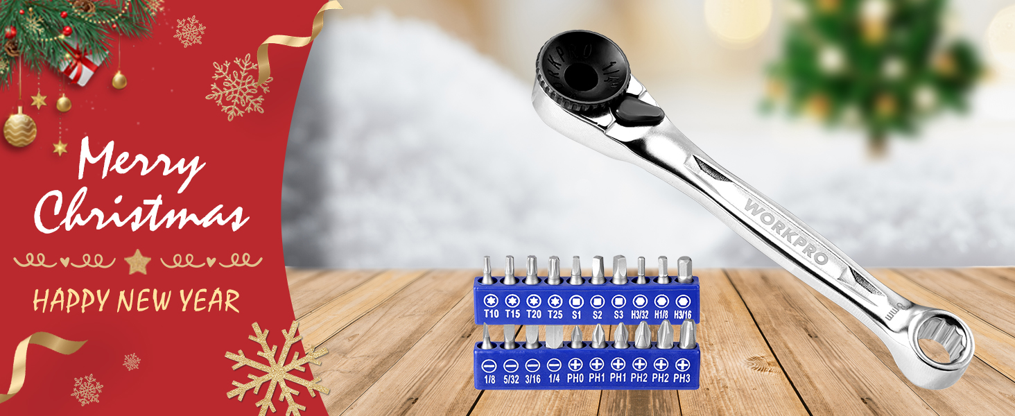 WORKPRO 21 PCS 1/4&amp;amp;#34; Mini Ratchet Wrench