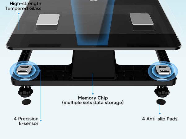 scale for body weight and fat percentage