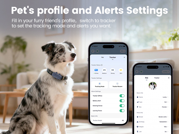 cat tracker