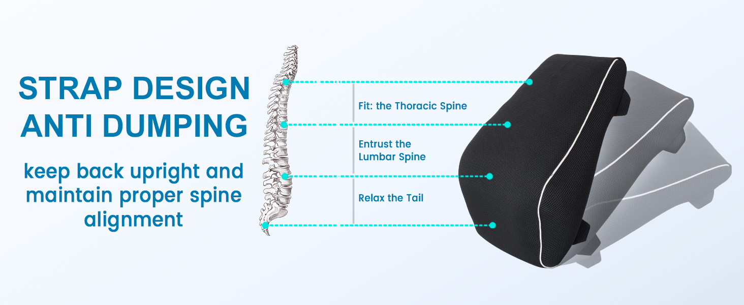 back support for office chair,lumbar support pillow for car