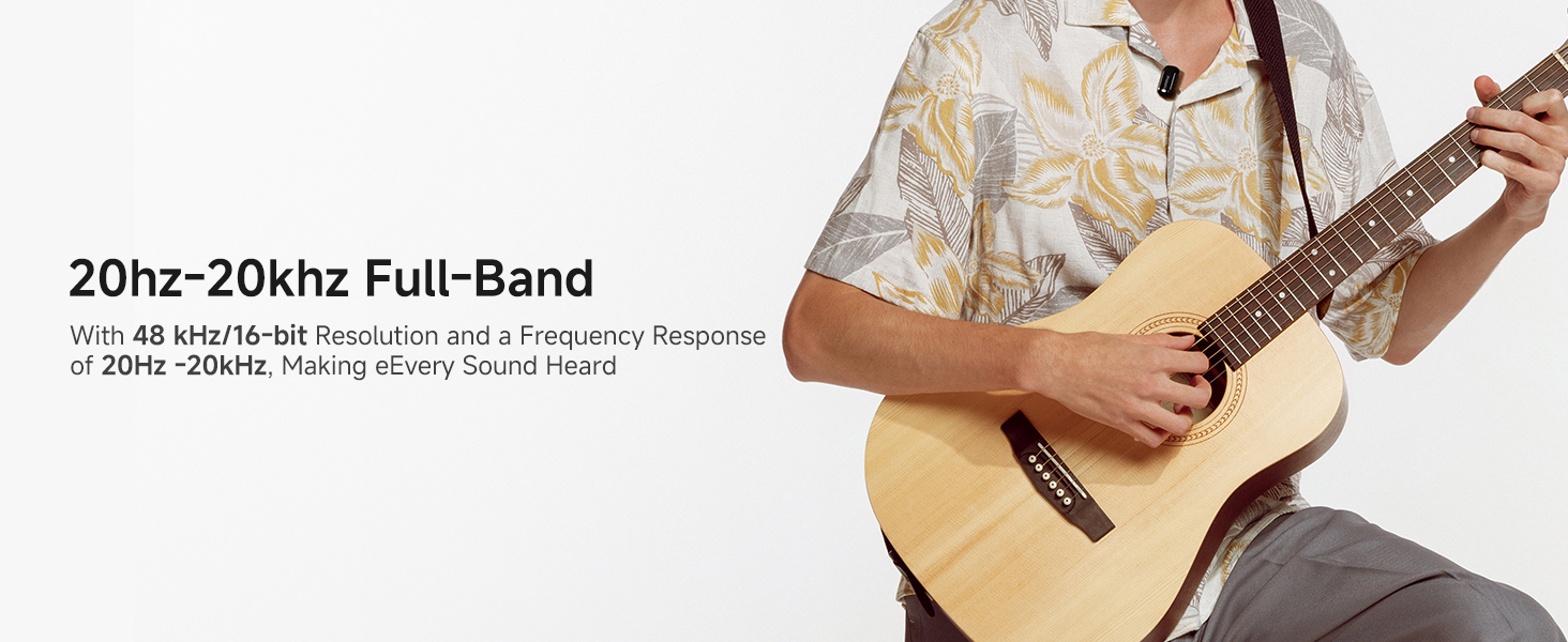 20hz-20khz Full-Band