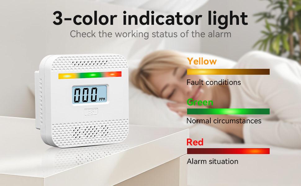 portable carbon monoxide detector