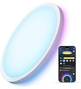 Govee Smart Ceiling Light, RGBIC LED Ceiling Light Fixture, 2400LM Flush Mount Light Fixture, DIY...