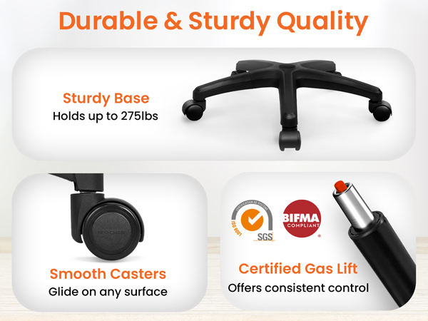 Durable Chair Featuring Adjustable Lumbar Support for Style
