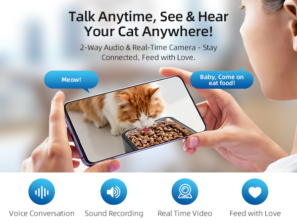 automatic cat feeder