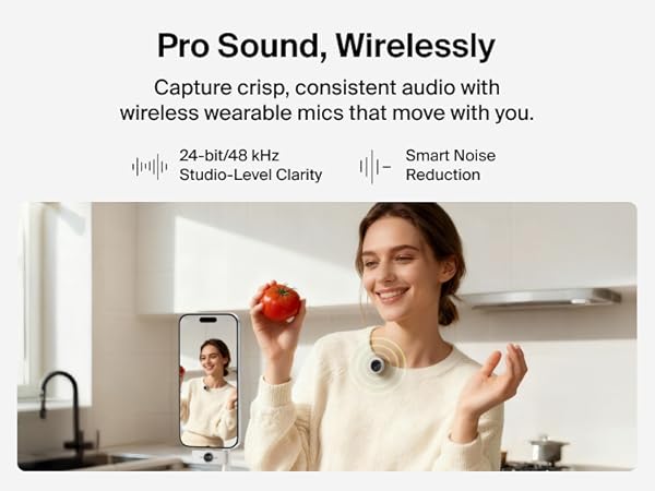 Stage Wireless Microphone