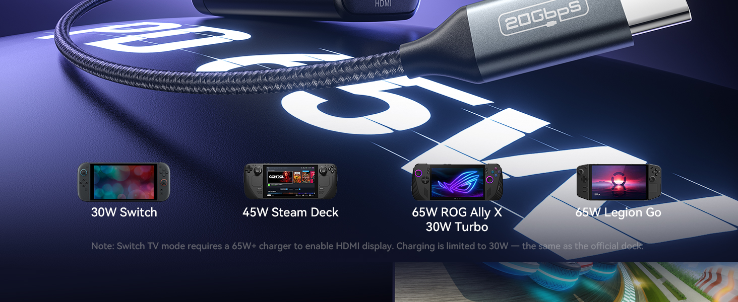 switch charger
