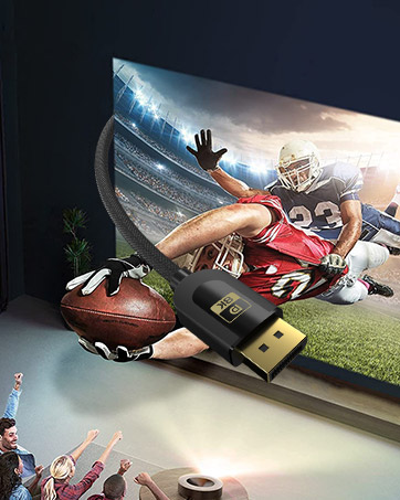 displayport 2.1 cableS
