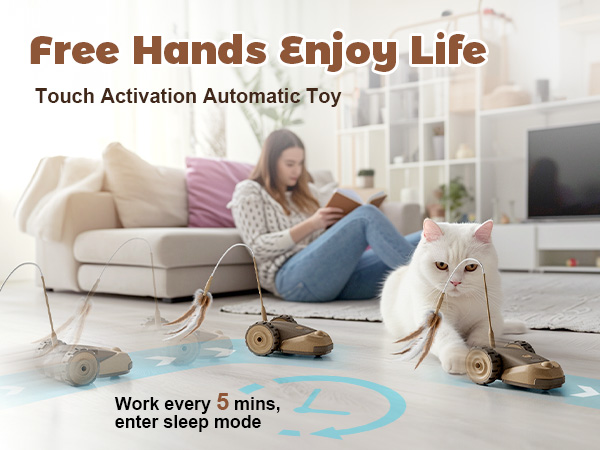 Interactive Cat Toy