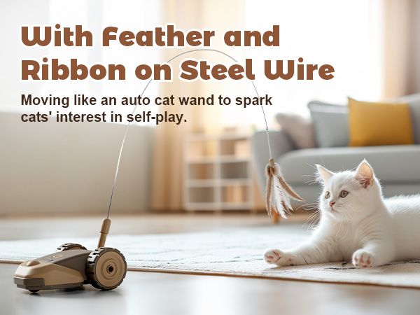Interactive Cat Toy