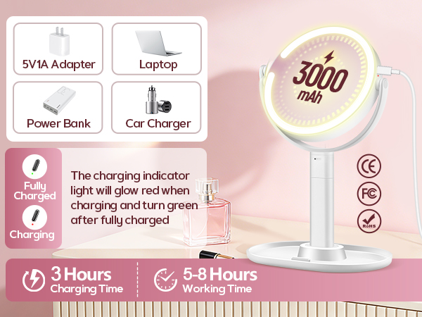 Magnifying Mirror with Light 30X