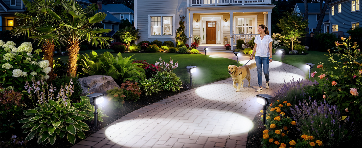 solar pathway lights outdoor