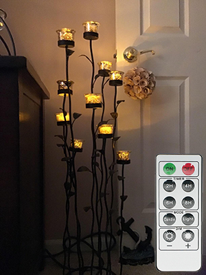 Remote Controller