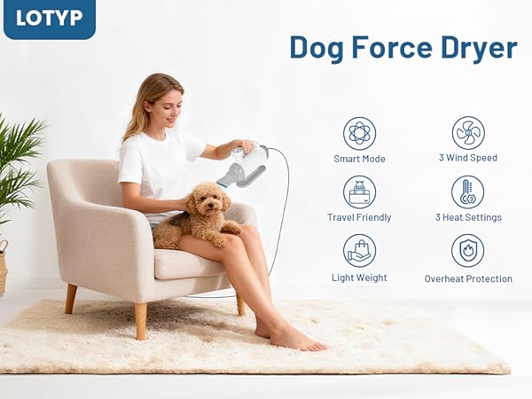 dog dryer