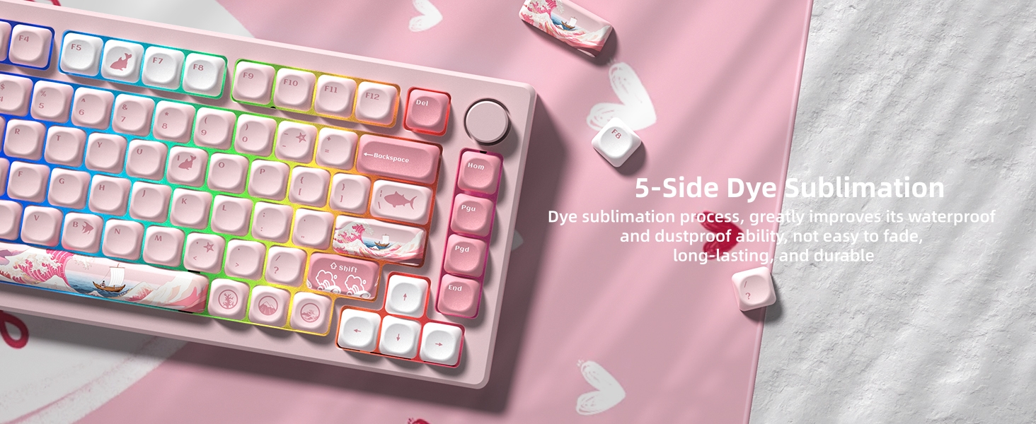 PBT Keycaps for Mechanical Keyboard,75 Percent Dye-Sublimation Custom Keycaps Set