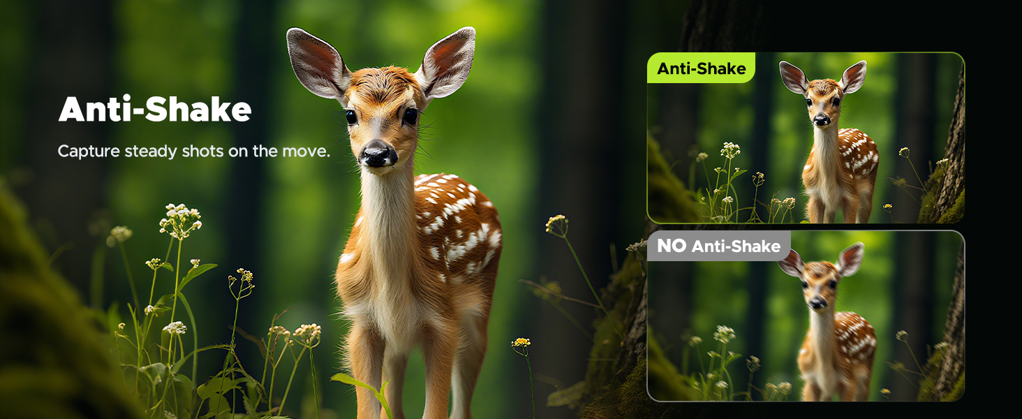 Night Vision Goggles